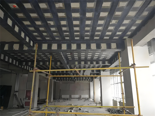 1723692204959276.jpg 42fedaf9-b122-4781-96bd-d9c79b54af5b.jpg