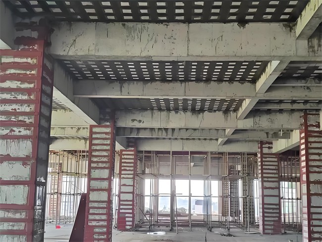 1723692216565551.jpg 7326d2f7-9960-4894-9c0c-45fb691052e1.jpg